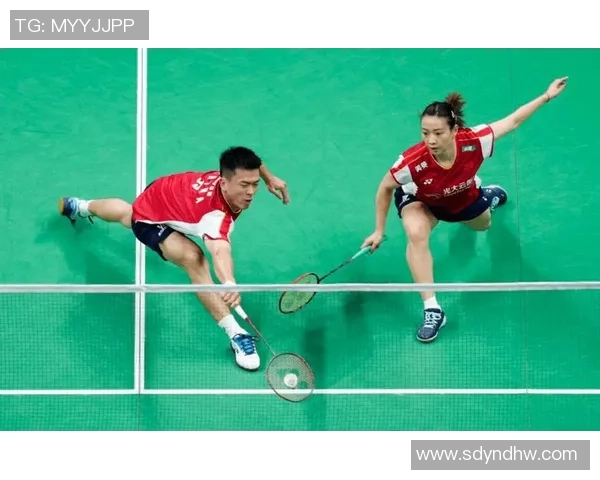 上海羽毛球队个人能力分析与发展潜力探讨 上海羽毛球队个人能力分析与发展潜力探讨