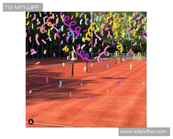 北京网球队比赛经验分析与表现评估的综合研究报告 北京网球队比赛经验分析与表现评估的综合研究报告