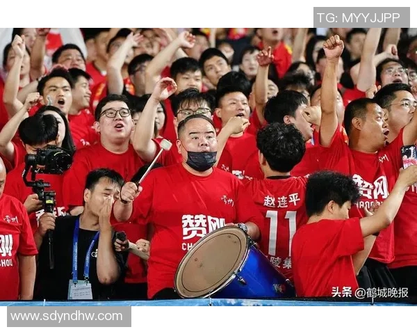 足球明星板块的多样性与魅力探讨及其对球迷文化的影响