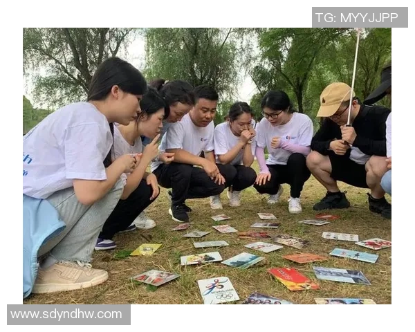 南京极限运动队团队协作分析与其他城市队伍的比较研究