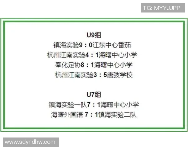 德国足球训练全书全面解析与实战应用指南助力青少年足球发展 德国足球训练全书全面解析与实战应用指南助力青少年足球发展