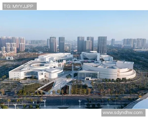 武汉极限运动队的区域防守策略与热点分析探讨