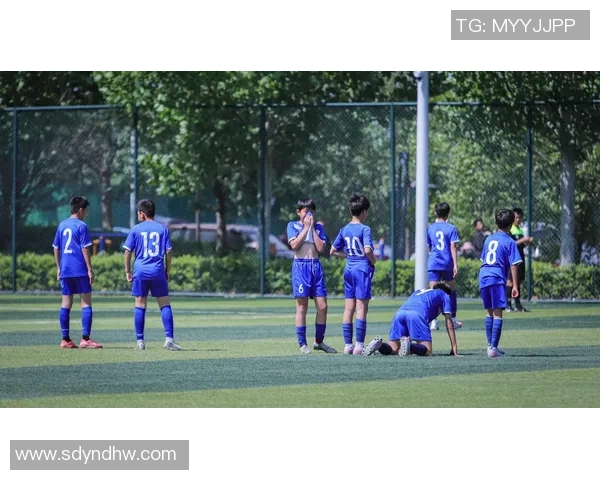 足球傻瓜的奇妙旅程从菜鸟到球场英雄的成长故事