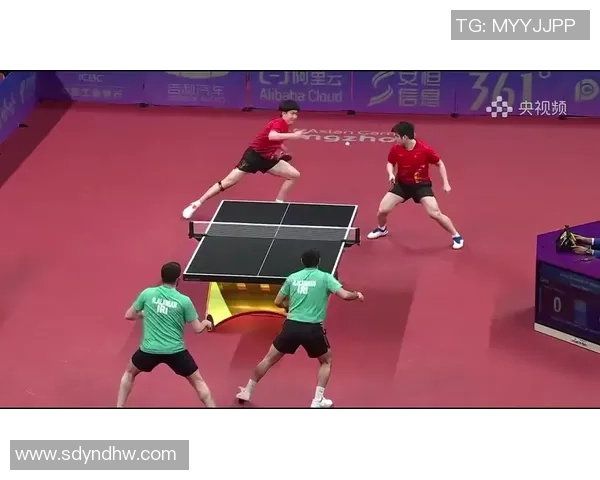 独家解析：杭州乒乓球队配合策略与技术对比分析