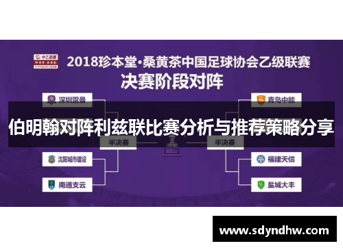 伯明翰对阵利兹联比赛分析与推荐策略分享