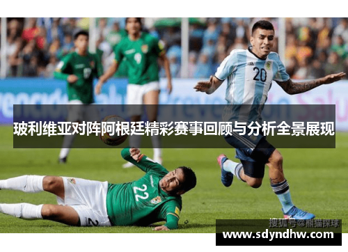 玻利维亚对阵阿根廷精彩赛事回顾与分析全景展现