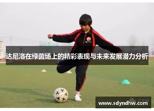 达尼洛在绿茵场上的精彩表现与未来发展潜力分析