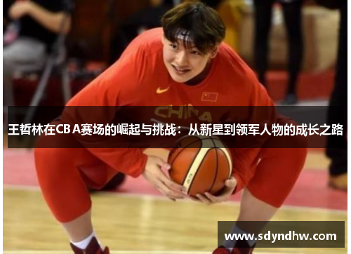 王哲林在CBA赛场的崛起与挑战：从新星到领军人物的成长之路